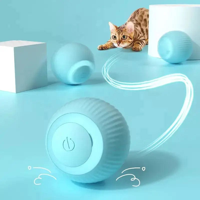 Chetitay Official Store Electric Cat Ball Toys Automatic 